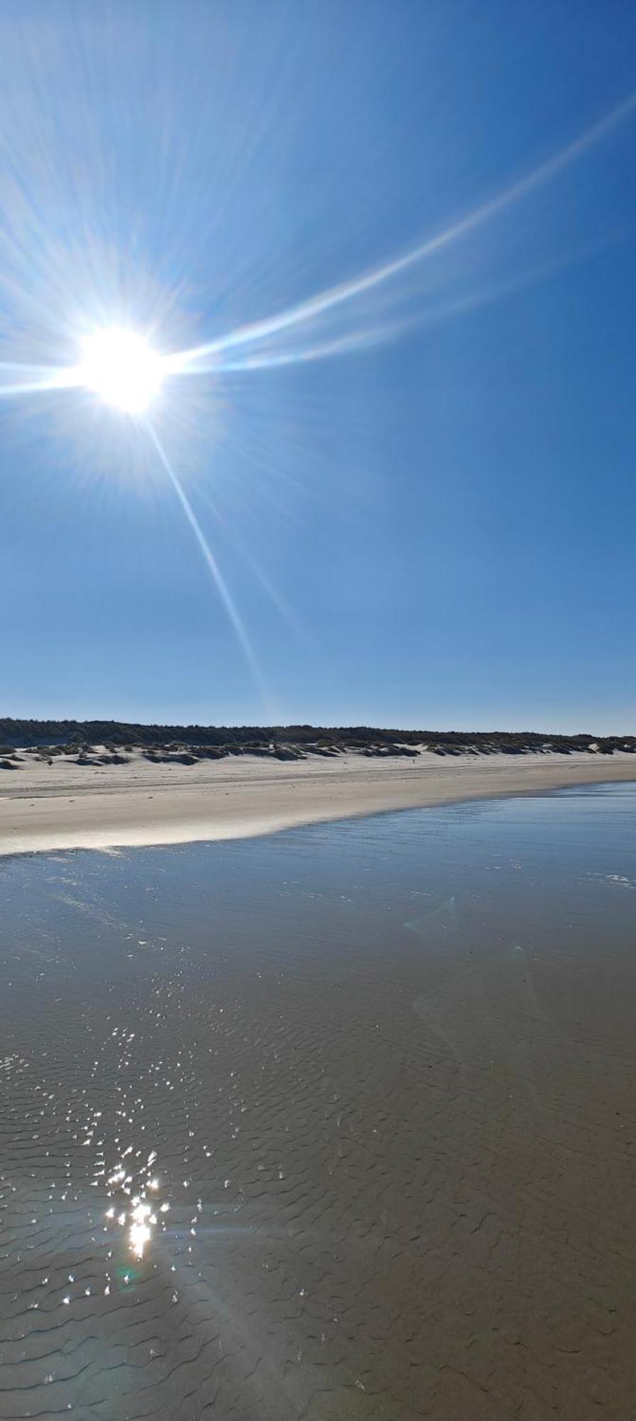 Pension Bakema Ameland Nes  Dış mekan fotoğraf